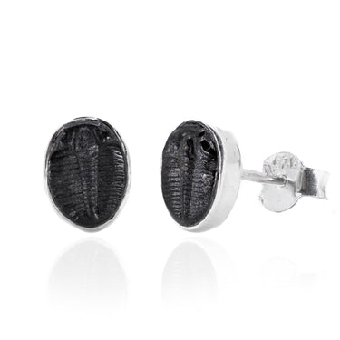 Small Trilobite stud earrings by Black Feather Design
